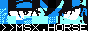 A small image representing the website at msx.horse.