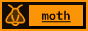 moth